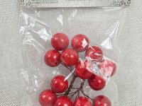 xh48ct01-13